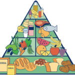 Pirámide nutricional